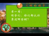 小學(xué)二年級上冊美術(shù)課件-第15課大樹的故事-人美版(24張)ppt課件