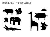 小學(xué)二年級上冊美術(shù)課件-第17課動物樂園-人美版(14張)ppt課件