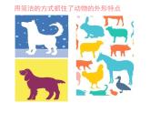 小學(xué)二年級上冊美術(shù)課件-第17課動物樂園-人美版(14張)ppt課件