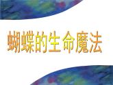 湘美版美术二年级下册：《四格画》课件