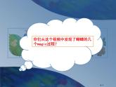 湘美版美术二年级下册：《四格画》课件