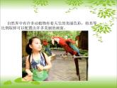 湘美版二年級下冊《色彩取樣》課件PPT