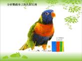 湘美版二年級下冊《色彩取樣》課件PPT