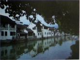 湘版美術(shù)四年級(jí)下學(xué)期變形的魅力-(-新)課件PPT