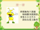 湘美版 美術(shù)一年級(jí)上冊(cè) 19.螞蟻搬家 課件