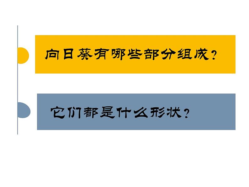 小学二年级下册美术课件-2.5美丽的花园-岭南版(22张)ppt课件第4页