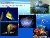 浙美版小学美术一年级下册15热带鱼乐园课件课件