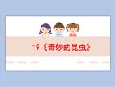 浙美版小学美术一年级下册19《奇妙的昆虫》课件+素材