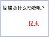 浙美版小学美术一年级下册19《奇妙的昆虫》课件+素材