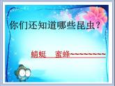浙美版小学美术一年级下册19《奇妙的昆虫》课件+素材