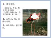 美术冀美版小学一年级下册7《美丽的鸟》课件