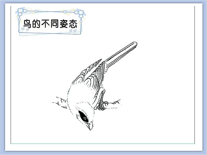 美术冀美版小学一年级下册7《美丽的鸟》课件06