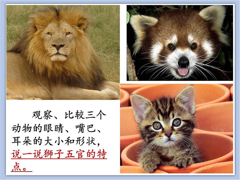 美术冀美版小学一年级下册13《威武的狮子》课件06