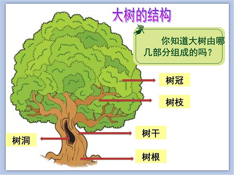 美术冀美版小学一年级下册19《大树的故事》课件04