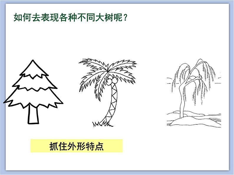 美术冀美版小学一年级下册19《大树的故事》课件06