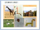 美术冀美版小学二年级下册8《折纸动物》课件