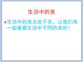 美术冀美版小学二年级下册10《小小“品评家”》课件