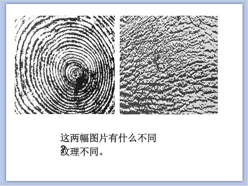 美术冀美版小学三年级下册12《感受肌理》课件06