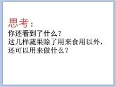 美術(shù)冀美版小學(xué)三年級(jí)下冊(cè)7《蔬果巧造型》課件
