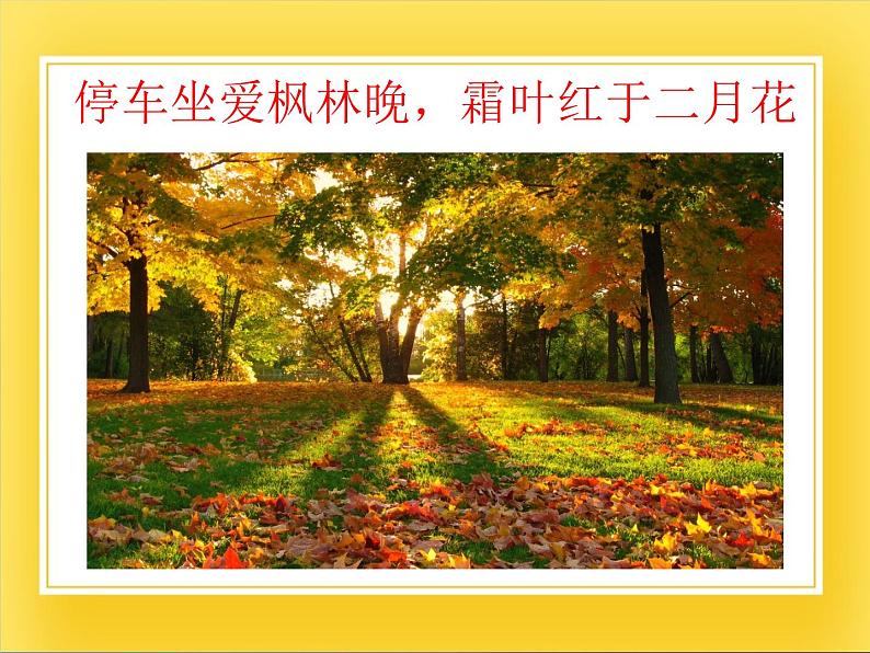 赣美版五年级美术下册13.《色彩的和谐与对比》课件08