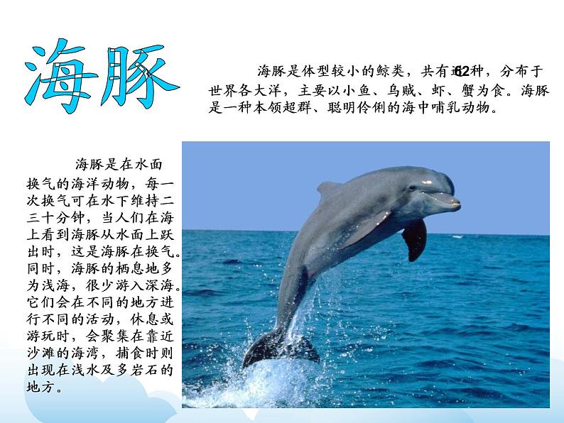 苏少版二年级下册美术 第4课 动物朋友（一） 课件+教案05