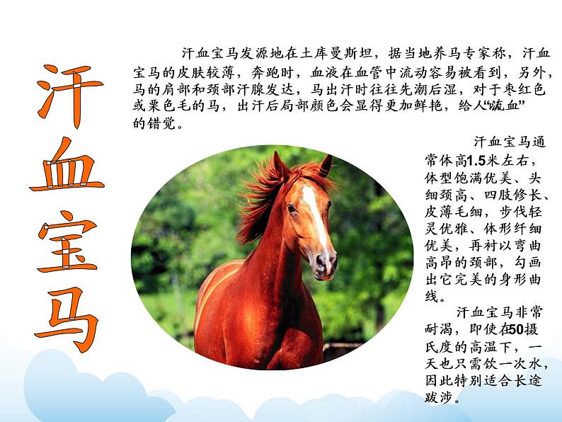 苏少版二年级下册美术 第4课 动物朋友（一） 课件+教案06