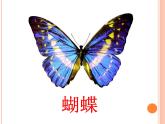 小学二年级下册美术课件-第5课折剪蝴蝶-浙美版(16张)(1)ppt课件