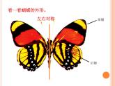 小学二年级下册美术课件-第5课折剪蝴蝶-浙美版(14张)ppt课件