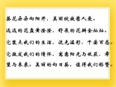赣美版六年级美术下册10.《葵花朵朵》课件