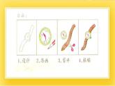 赣美版四年级美术下册6.《献给母亲的礼物》课件