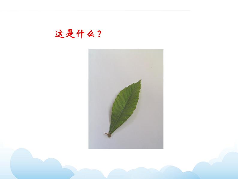 《套色纸版画》课件第3页