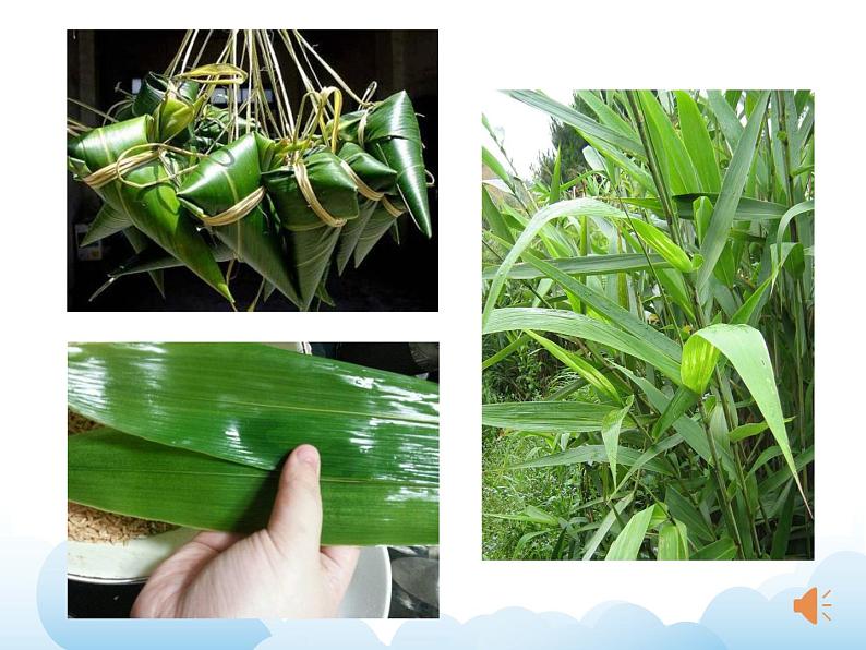 《叶子片片》课件第2页