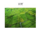 小學(xué)二年級下冊美術(shù)課件-第3課長長的線-冀美版(13張)ppt課件