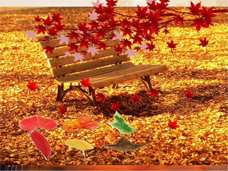 小学三年级下册美术课件-5.15秋天的落叶-岭南版(13张)ppt课件第7页