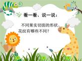 小學(xué)二年級下冊美術(shù)-3.7切開的果實(shí)-嶺南版(23張)ppt課件