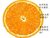 小學(xué)二年級下冊美術(shù)課件-3.7切開的果實(shí)-嶺南版(17張)ppt課件