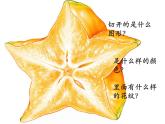 小學(xué)二年級下冊美術(shù)課件-3.7切開的果實(shí)-嶺南版(17張)ppt課件