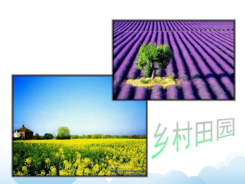 《理想的居住环境》课件第5页