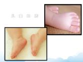 蘇少版六年級下冊美術(shù) 3.能干的腳 課件+教案