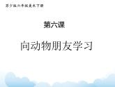 蘇少版六年級下冊美術(shù) 6.向動物朋友學(xué)習(xí) 課件+教案