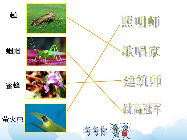 苏少版二年级下册美术 第14课 虫虫虫（一） 课件+教案08