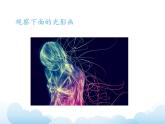蘇少版五年級(jí)下冊(cè)美術(shù) 16 用光來畫畫 課件+教案