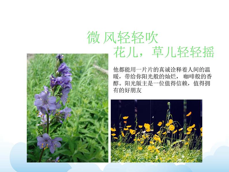 《风》课件第4页