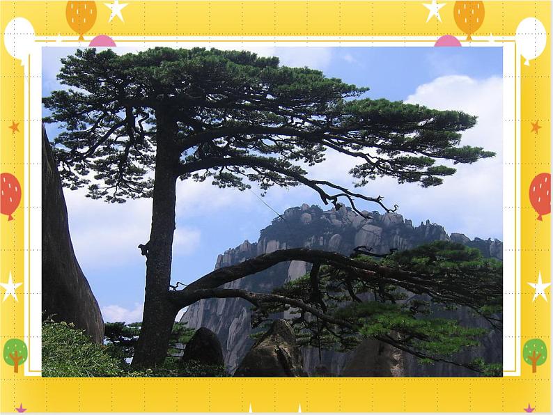 《彩墨画树》课件第4页