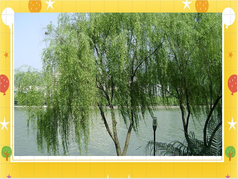 《彩墨画树》课件第5页