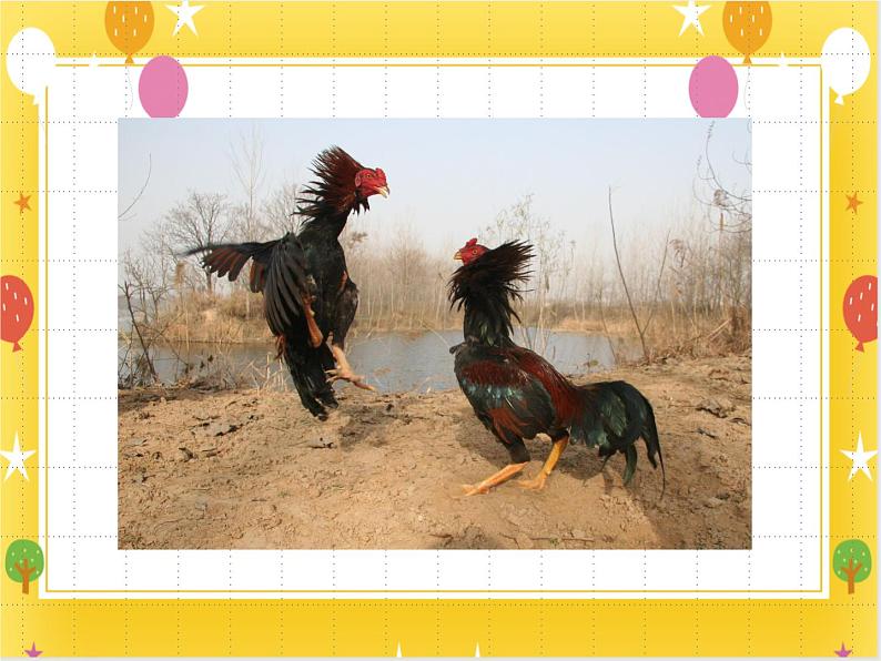 桂美版美术四年级下册第8课斗鸡      课件+教案03