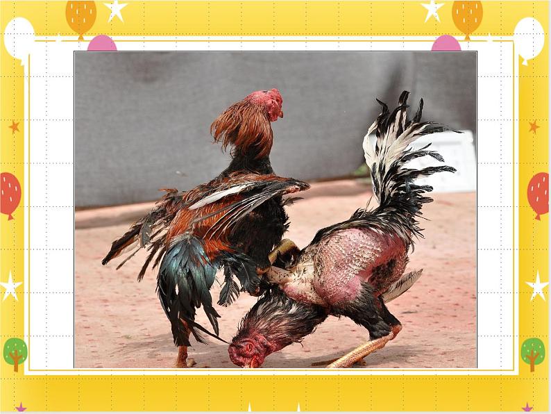 桂美版美术四年级下册第8课斗鸡      课件+教案05