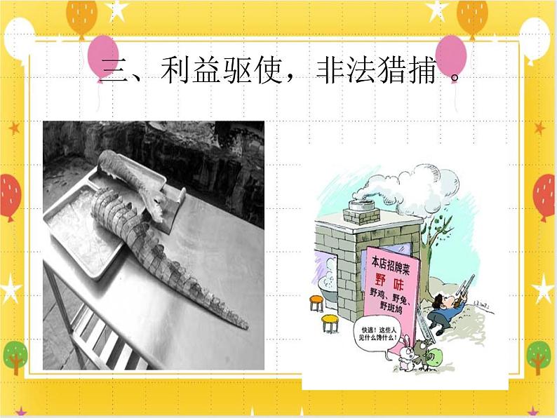 6《我和动物交朋友》课件第7页