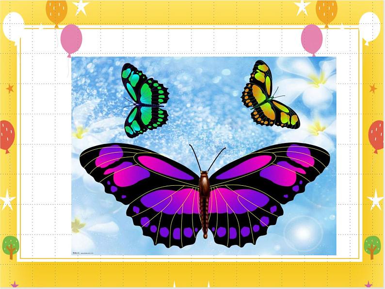 11《缤纷蝴蝶》课件第8页