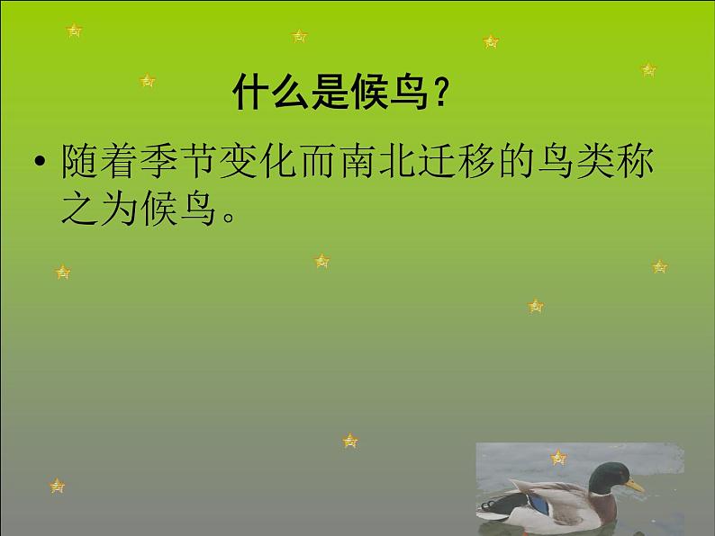 候鸟的乐园PPT课件免费下载03